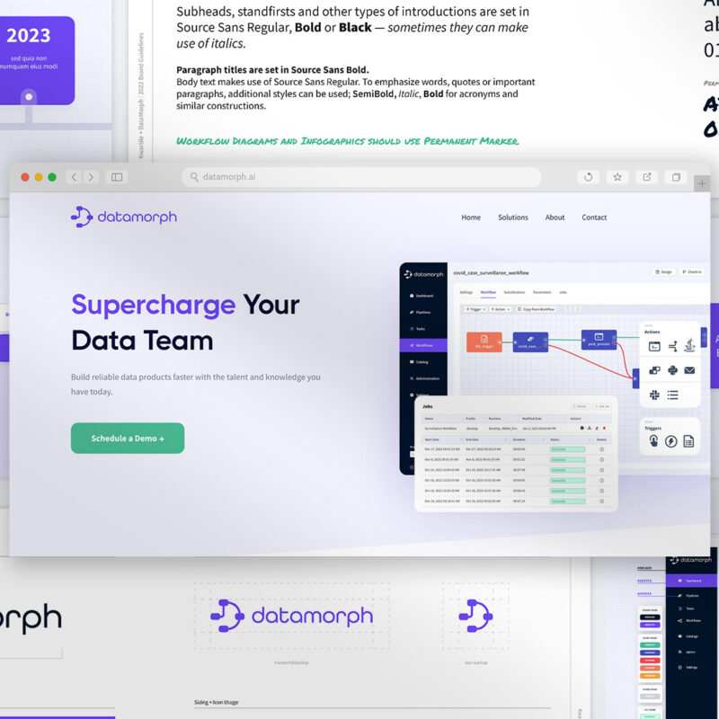 DataMorph Brand Overview